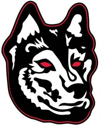 Northeastern Huskies 2007-Pres Alternate Logo 02 iron on paper